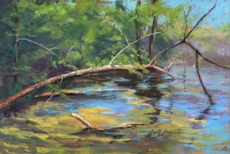 Aftrnoon Reflections by artist Linda Wells